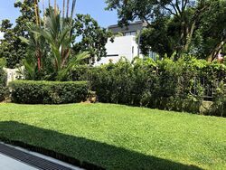 shamrock-park photo thumbnail #15